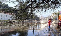 छठ पर्वमा बाग्मती नदीमा धाप ड्यामको पानी छाडिने