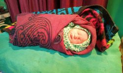 झाडीमा सालनालसहितको बच्चा भटियो