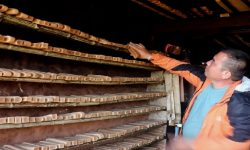 श्यामशिलाको छुर्पी बाह्य बजारमा