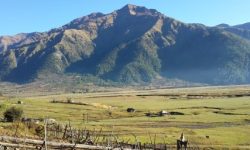 पर्यटकको रोजाइमा ढोरपाटन सिकार आरक्ष