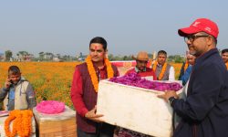 चितवनको सयपत्री र मखमली हङकङ निर्यात