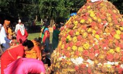 विधिपूर्वक गोवर्द्धन पूजा गरियो