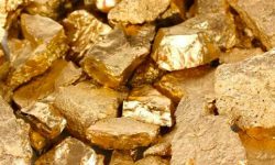 न्यूरोडबाट बरामद भएको सुन सात किलोग्रामभन्दा बढी