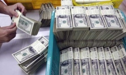 विदेशी मुद्रा सञ्चिति ६.७ प्रतिशतले बढ्यो