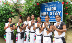 गाउँमा थारु ‘होमस्टे’ र सङ्ग्रहालय