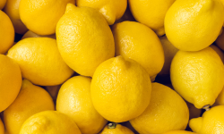 Lemon producers in Syangja in wait for appropriate market