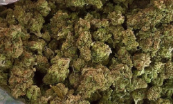 मोरक्कोमा ४.६ टन गाँजा बरामद, संदिग्ध दुई जना पक्राउ