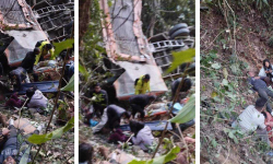 विद्यार्थी बोकेको बस इलाममा दुर्घटनाग्रस्त