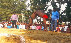 सरकारहरू कुस्तीमा उदासिन