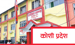 विनियोजन विधेयकमाथि छलफल सुरु