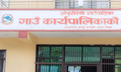 बिक्रीको जिम्मा गाउँपालिकाले लिएपछि किसान उत्साहित