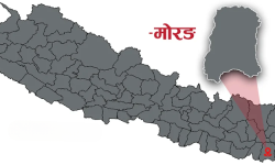 शिक्षक विदेशिएपछि अध्यक्ष आफैँ पढाउँदै