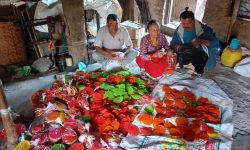 गाउँमा झिनियाँको व्यापार फस्टाउँदै