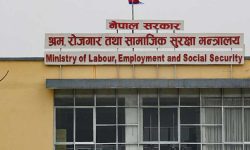 राष्ट्रिय व्यावसायिक प्रशिक्षण प्रतिष्ठान विकास समिति गठन