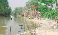 आकर्षण केन्द्र बन्दै सिमसार