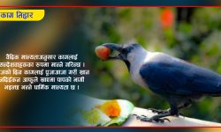 सन्देशवाहक काग पुजिँदै !