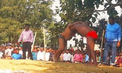 सरकारहरू कुस्तीमा उदासिन