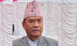 सांसदको भूमिका प्रभावकारी हुनसकेको छैन : सांसद तामाङ