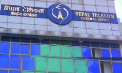 टेलिकमको ‘नमुना सेवा’ सुरु