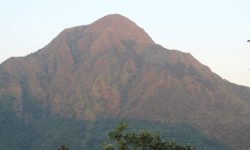 देवचुली डाँडामा पर्यटन सप्ताह