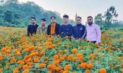 पढ्दै कमाउँदै : विद्यार्थी फूलखेतीमा रमाउँदै