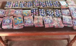 विष्फोटक पदार्थ बरामद