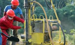 पेट्रोलियम पदार्थ उत्खनन् क्षेत्रमा रुख कटान सुरु