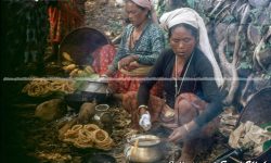 कथा हाम्रो सेलरोटीको