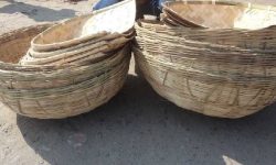 विन र डोम समुदाय चाडवर्पलक्षित सामान बनाउन व्यस्त