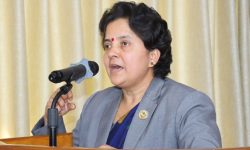 ‘सांसदले योजनाको फाइल बोकेर माग्दै हिँड्ने परिपाटी अन्त्य गर्नुपर्छ’