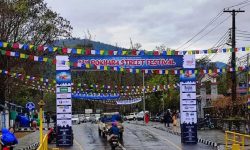 This year’s Pokhara Street Festival to be celebrated as silver jubilee