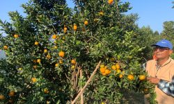 कृषि कर्मबाटै चिनिएका गुप्तप्रसाद