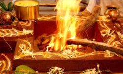 गौशालाको स्तरोन्नति गर्न आर्थिक अभाव : महायज्ञ लगाइँदै