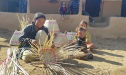 ‘सीप छ, मूल्य छैन’