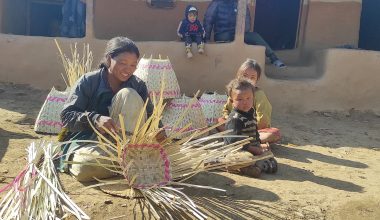 ‘सीप छ, मूल्य छैन’