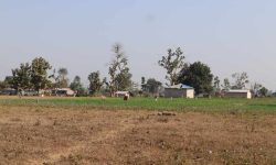 माटोको मायाले सीमामा सङ्घर्ष गर्दै बडुवालवासी