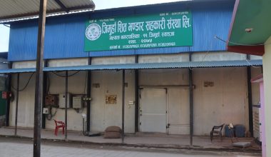 एउटै गाउँबाट साढे दुई करोडको बीउ आलु बिक्री