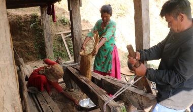 चिउरीबाट घ्यू उत्पादन गर्दै चेपाङ