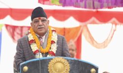 Multi-cultural democratic society strengthens national unity: PM Dahal
