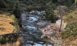 जथाभावी फोहर फाल्दा तमानखोला र बडिगाडखोला दुर्गन्धित