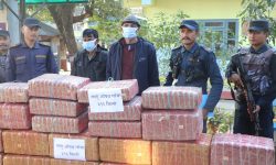 चार क्विन्टल गाँजासहित दुई भारतीय पक्राउ