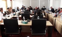 नेपाल विश्वविद्यालय विधेयकबारे विज्ञसँग छलफल