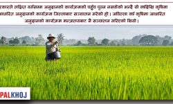 कोशी प्रदेश सरकारको कृषिमा १६ करोड बढी अनुदान