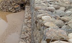 तटबन्ध निर्माणपछि बस्ती जोखिममुक्त