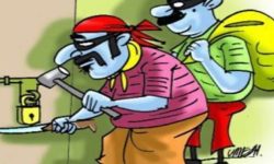 विभिन्न धनमाल चोरी