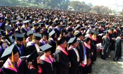 त्रिभुवन विश्वविद्यालयबाट बाह्र हजार विद्यार्थी दीक्षित