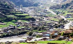 बजार मोहले मातृ भाषा संरक्षणमा चुनौती