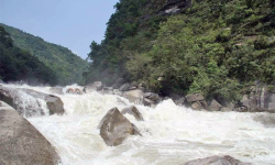 माथिल्लो अरुणको पहुँचमार्गका लागि दुई हजार रुख काटिने