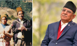 जुर्मुराउदा ती प्रचण्ड र शिथिल यी पुष्पकमल