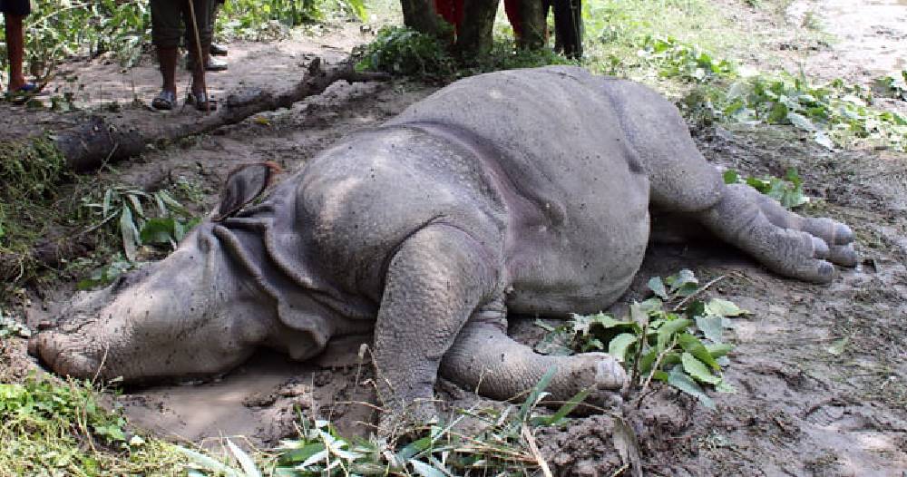 This image has an empty alt attribute; its file name is hatti.jpg